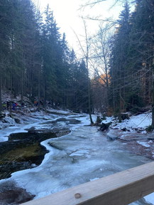 8a06c204-b90b-4443-8c6e-531c80d3f892