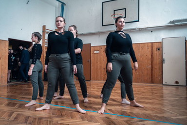 38d tan. skupina V suchu company