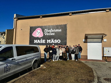 cfd339d1-1954-4a0d-b711-b83e2b0c7fc8