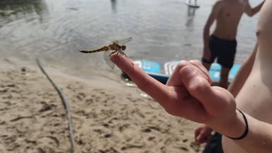 fceecbe6-66df-4722-8534-6a4239fb798e