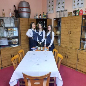 245556800_565861418026038_1783652637068478388_n