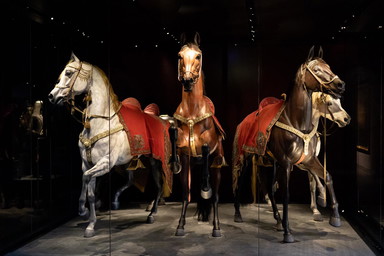 PHOTO-2022-12-19-11-35-50 4