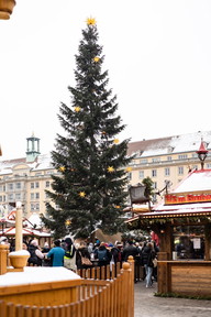 PHOTO-2022-12-19-11-35-48