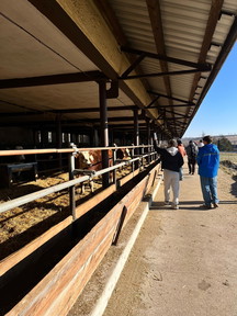 87f47b49-4602-42cd-9a02-0188b86e4aa2