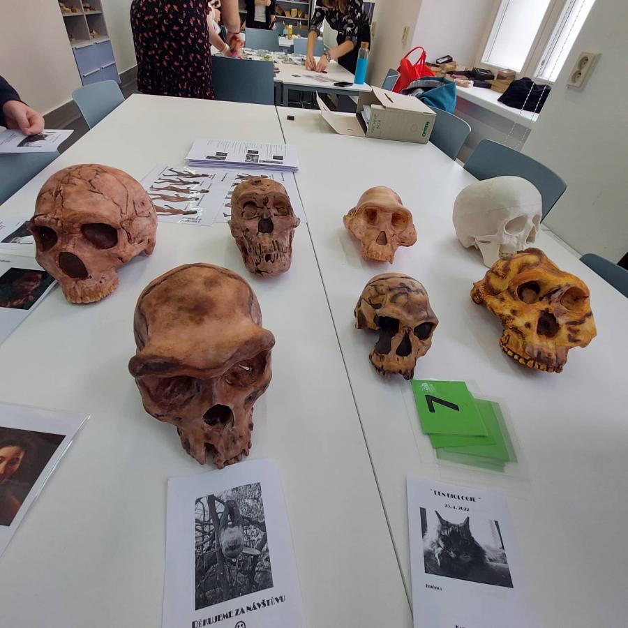 312292717_523236402534004_3752420141747316644_n