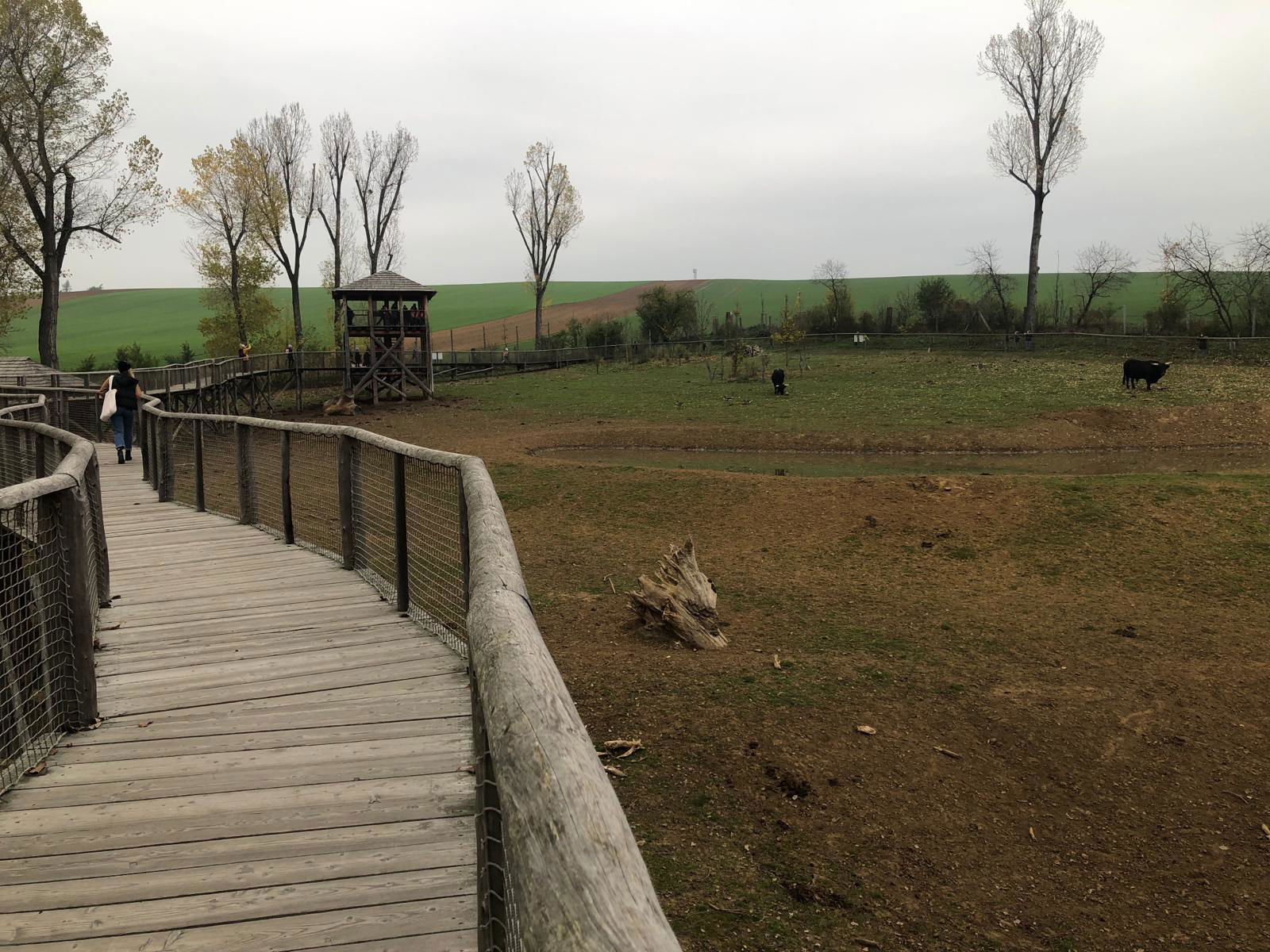 WhatsApp Image 2022-12-11 at 18.09.13 (3)