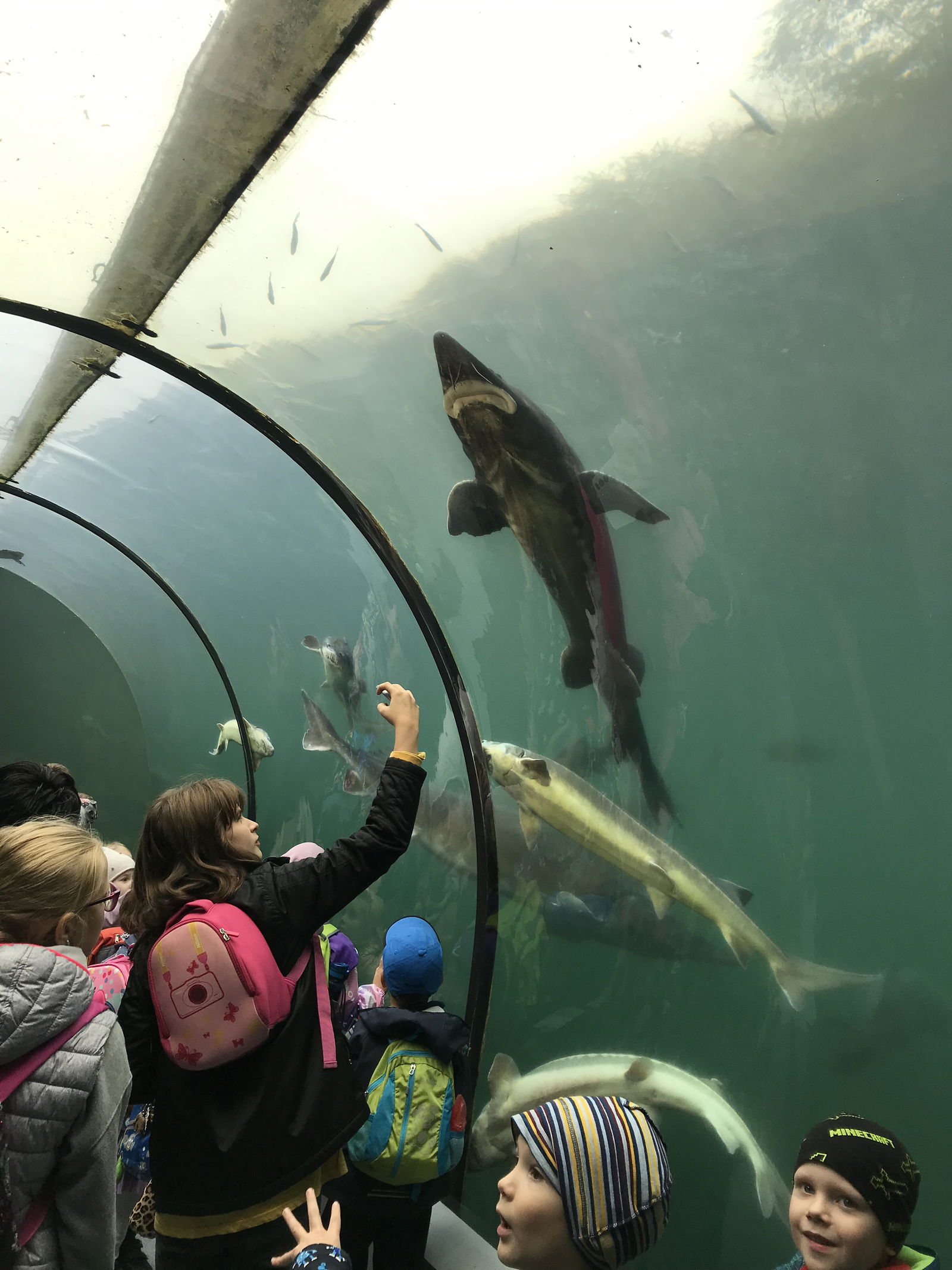 A9408A36-B785-43CE-B1AE-6148376CAE38