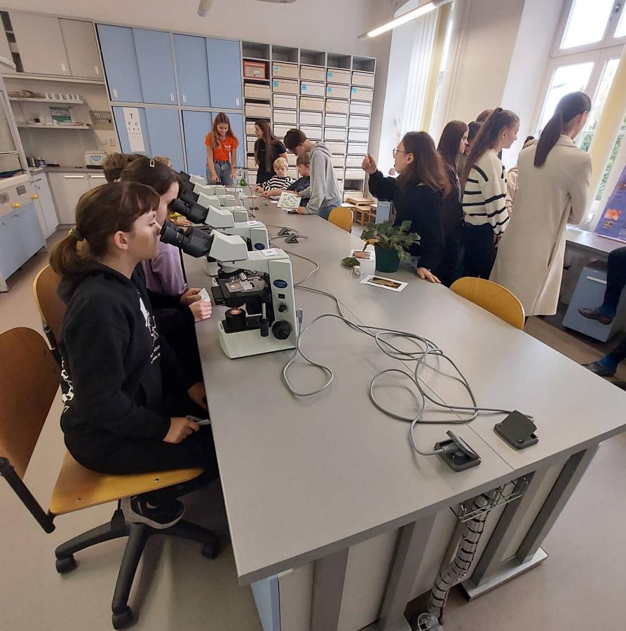 308684490_606870651186067_5681765535740892601_n