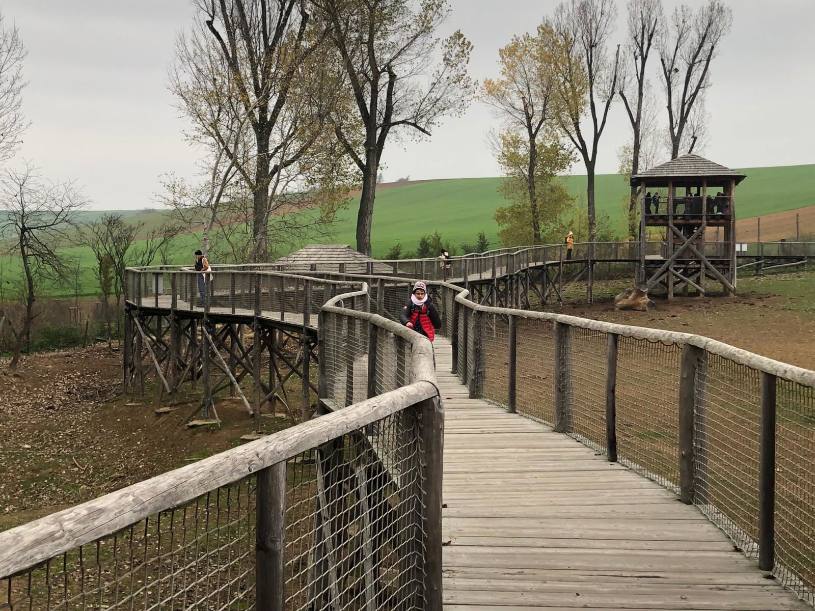 WhatsApp Image 2022-12-11 at 18.09.14