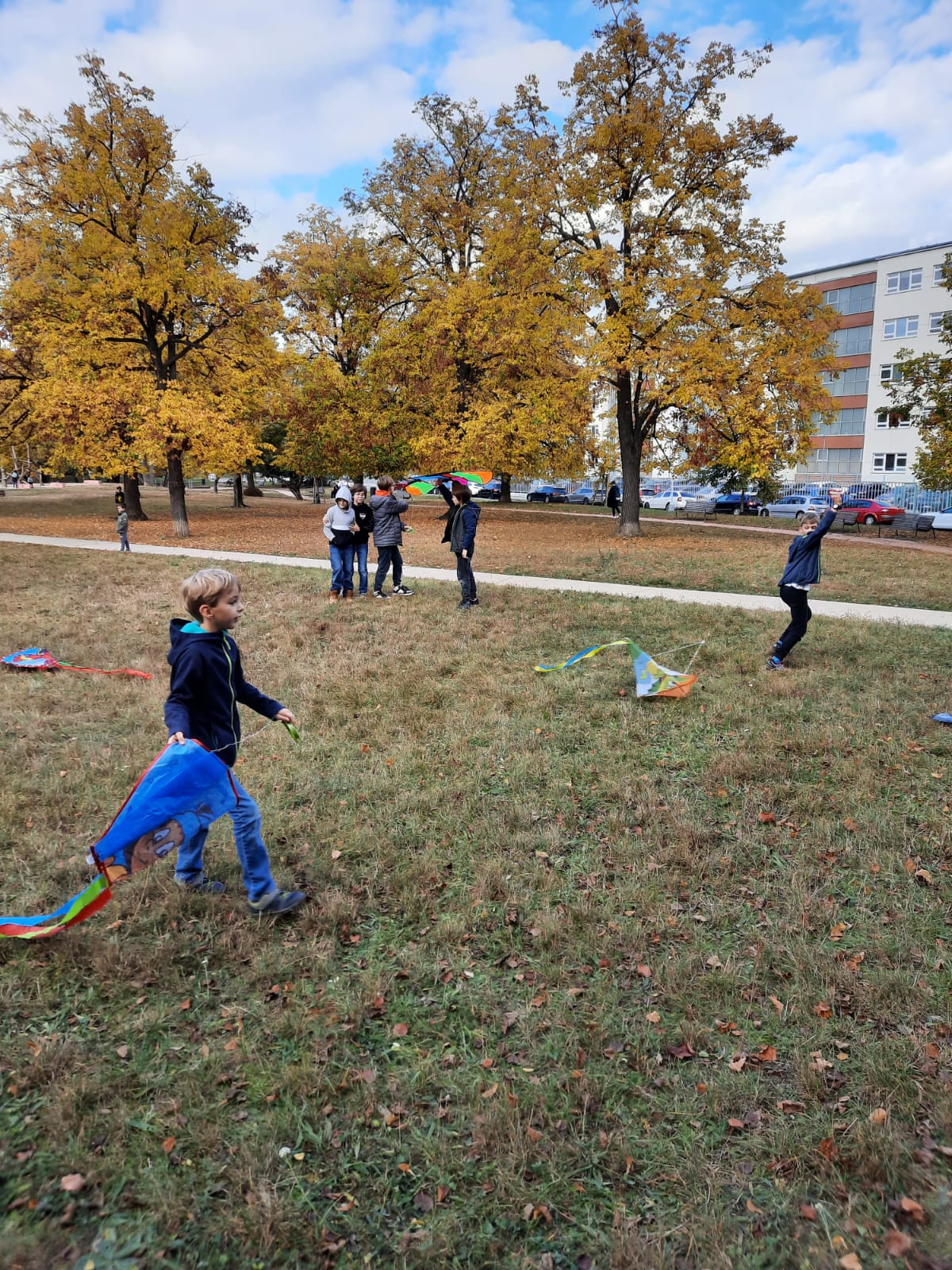 Obrázek WhatsApp, 2023-11-05 v 18.42.02_7c25428b