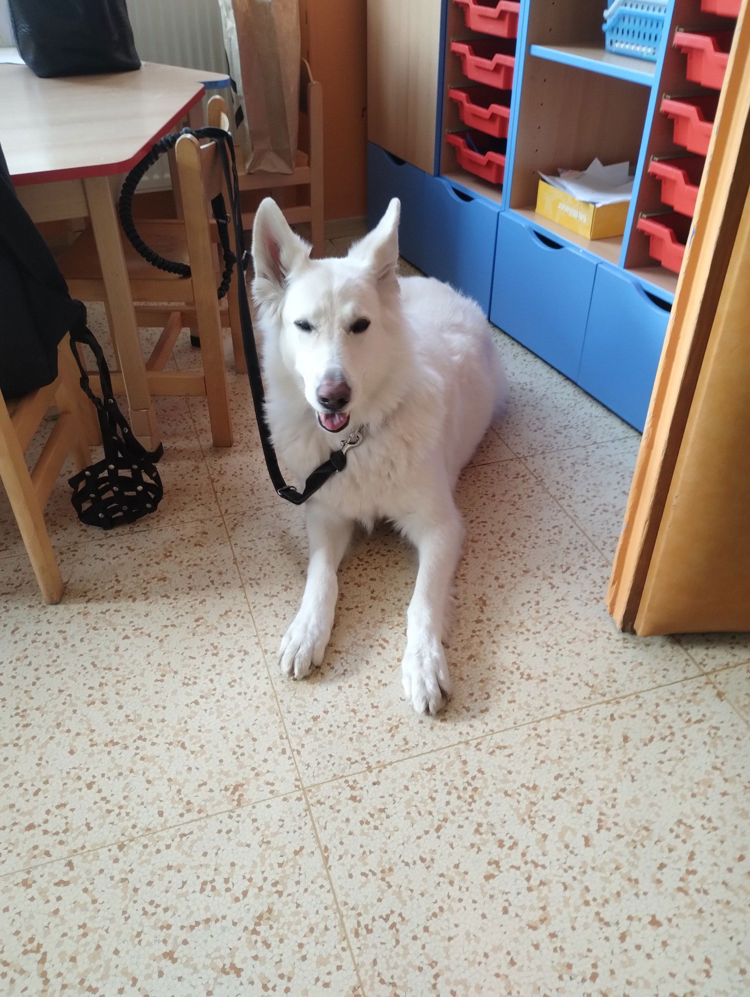 tmp_355433a8-a6c6-448d-ac53-a0a0527d5f15