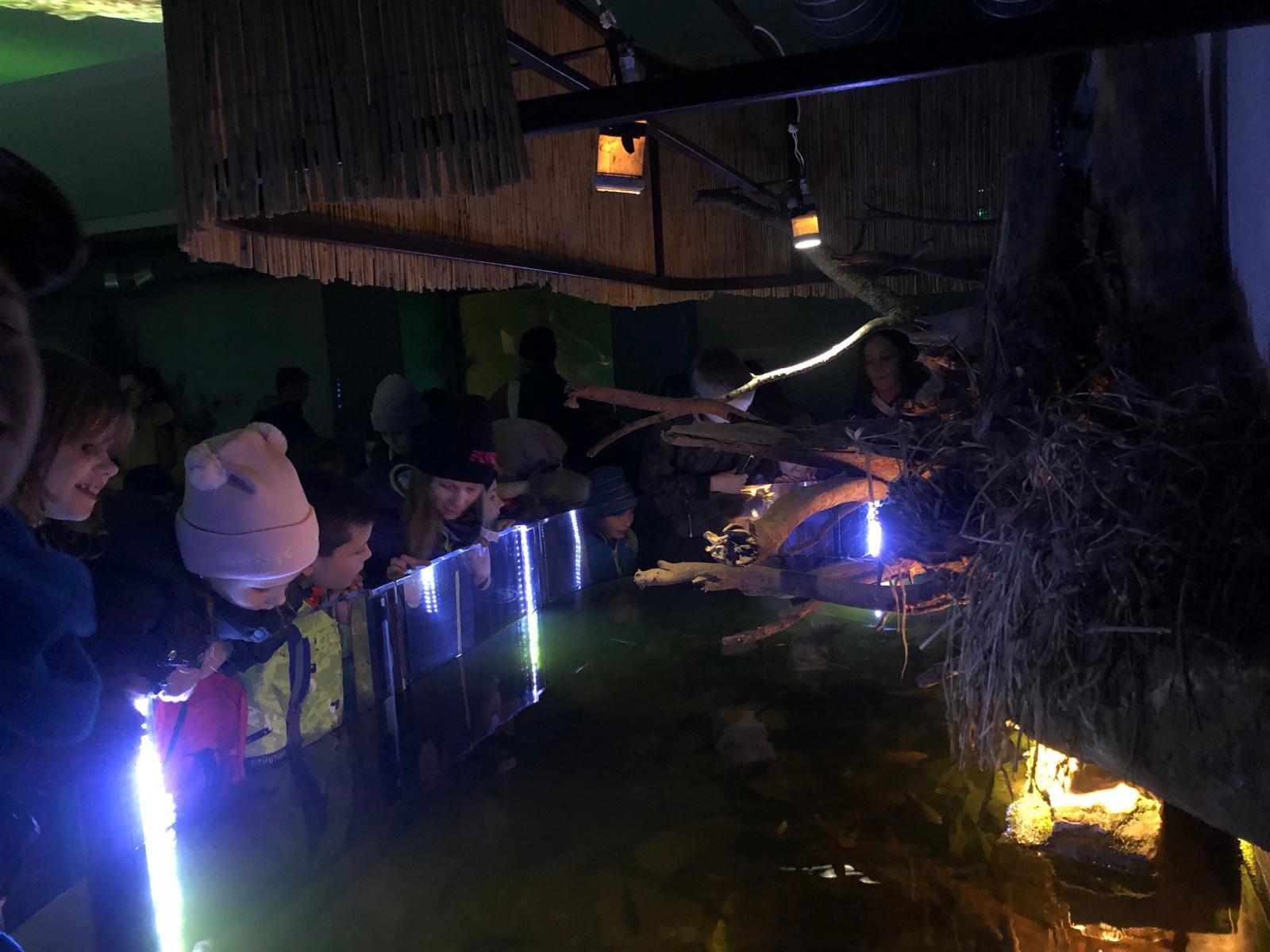 WhatsApp Image 2022-12-11 at 18.09.12 (2)