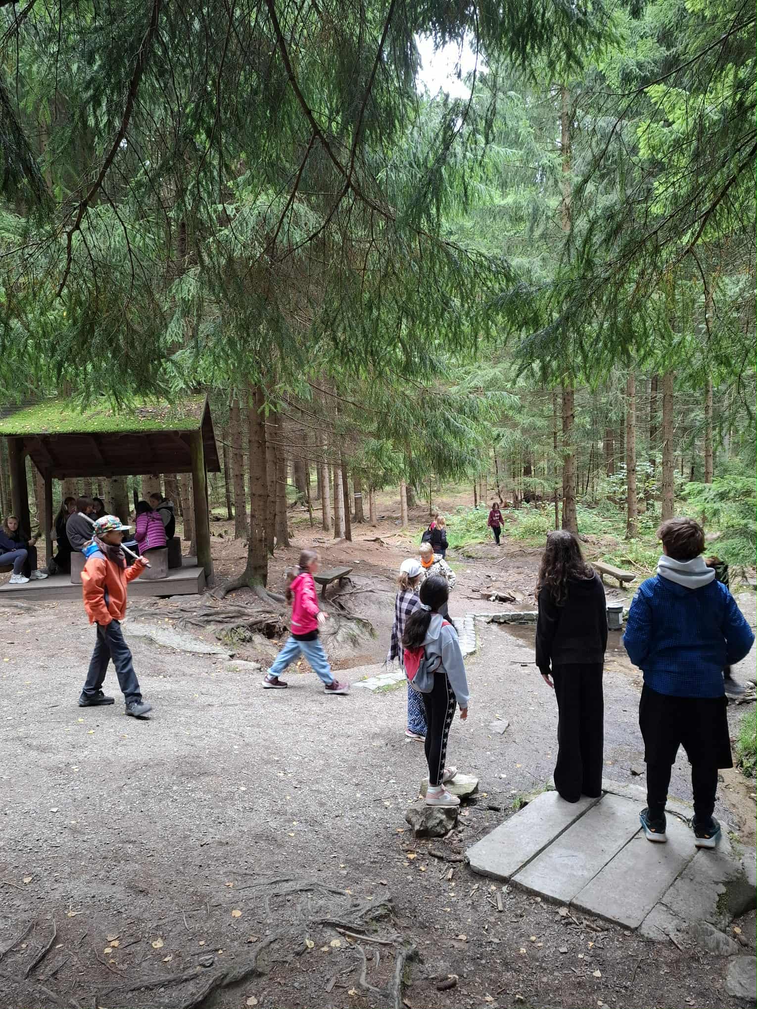 0cdac5f4-ad2d-4d82-b3e8-bc736bc4e414