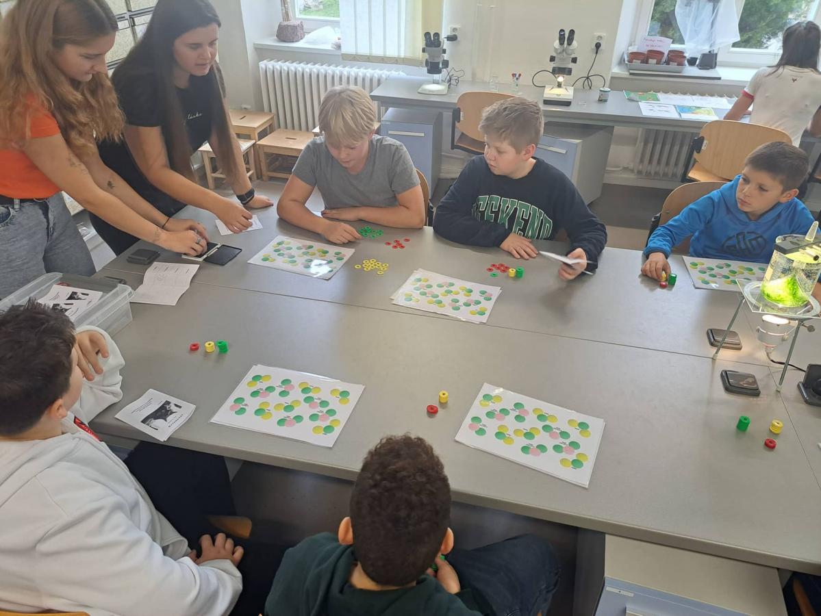 312221326_801909247713239_3962298145056782471_n