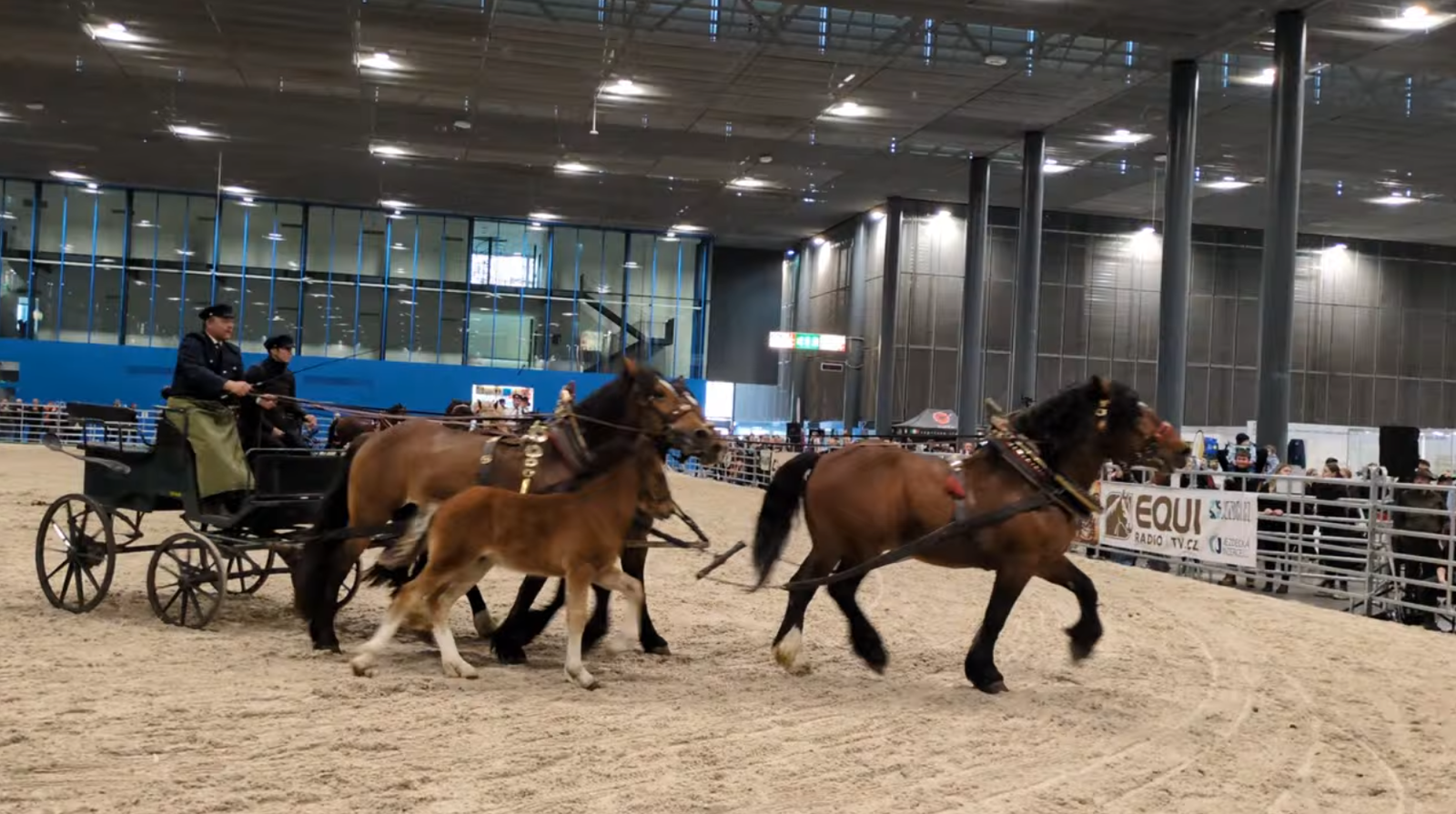 tmp_ca612465-6d9c-46e4-8016-a321ecd07d47