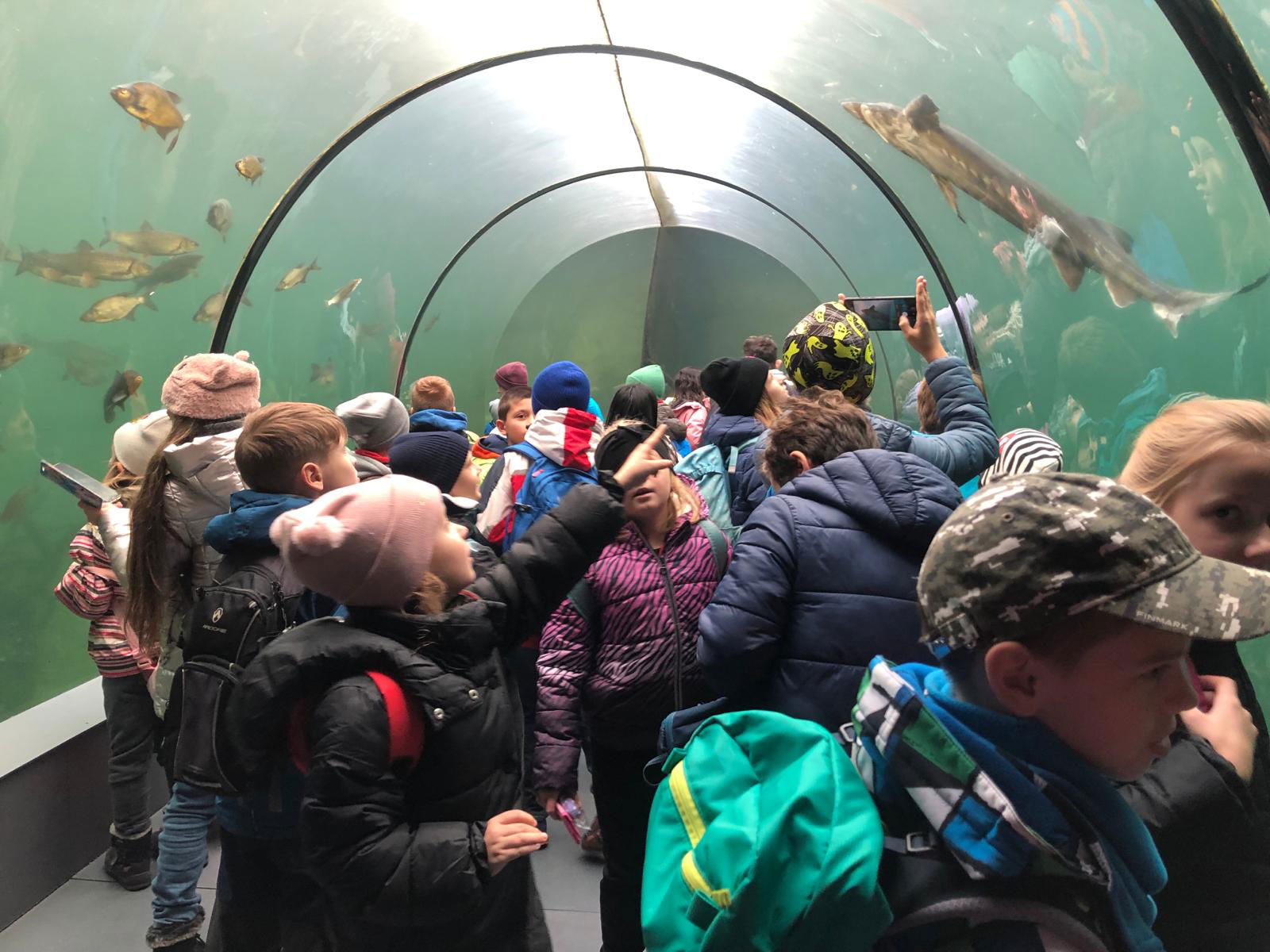 WhatsApp Image 2022-12-11 at 18.09.10 (4)