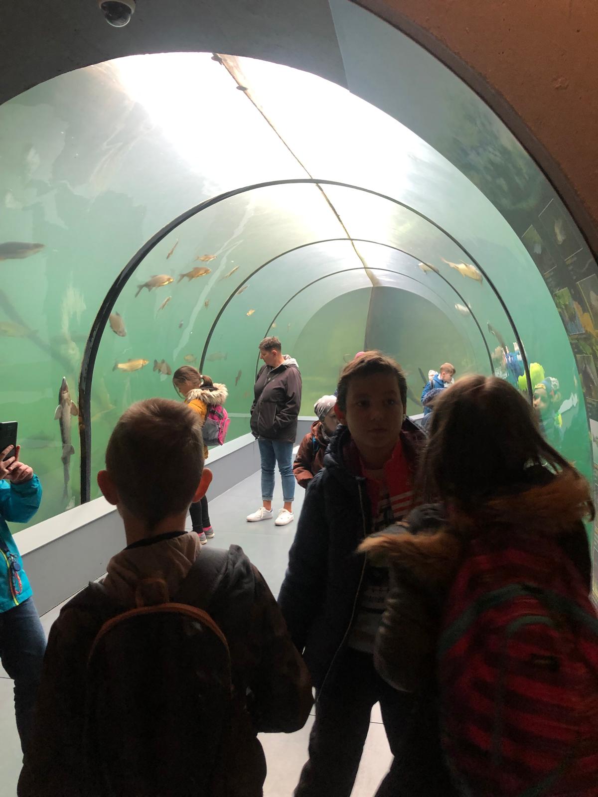 WhatsApp Image 2022-12-11 at 18.09.12 (1)