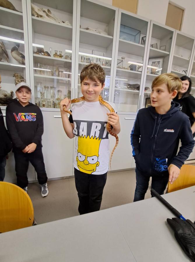 311493749_3367008216864260_2075594739673632797_n