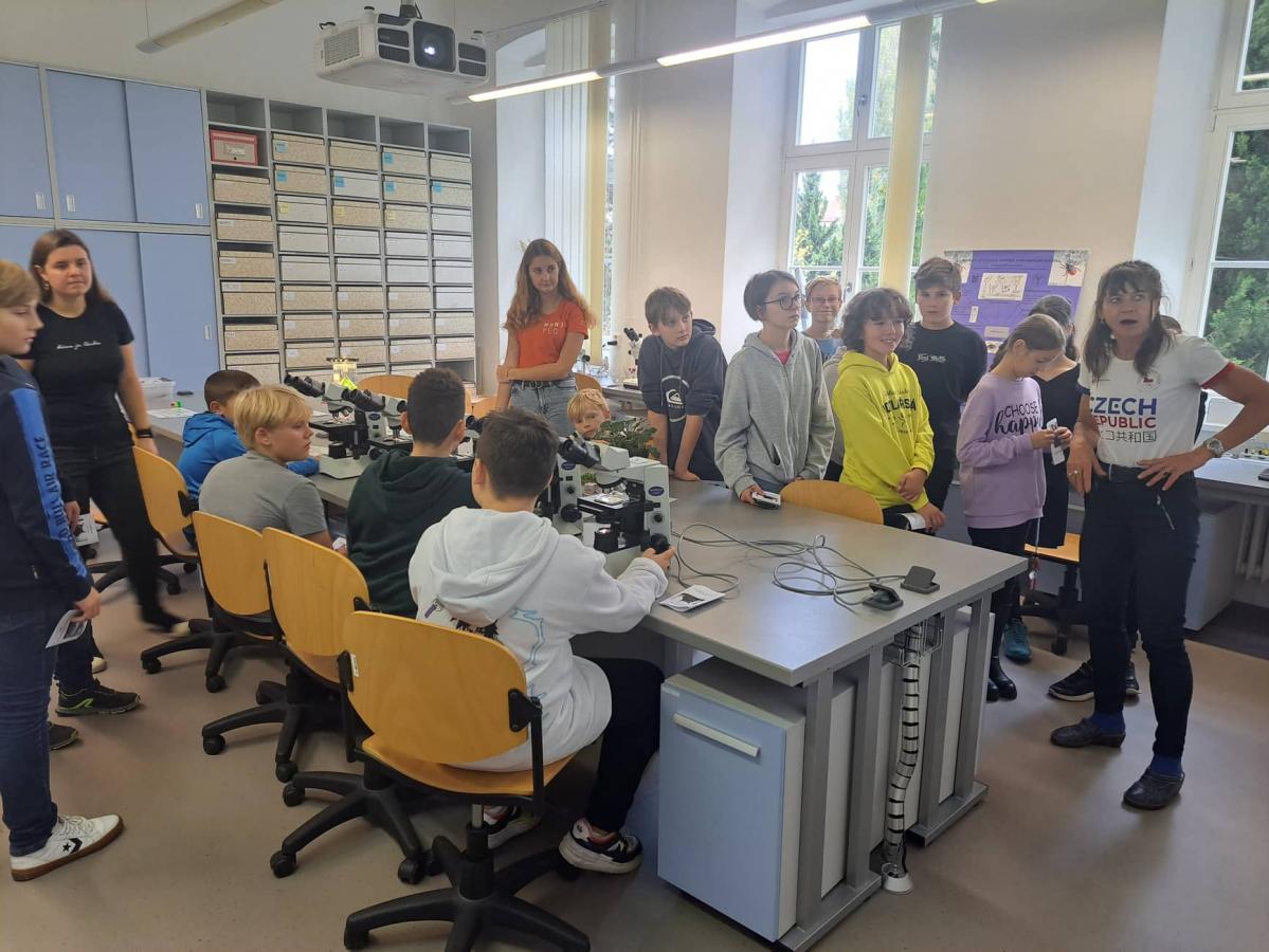 311460790_517250249907665_1877626298304273387_n