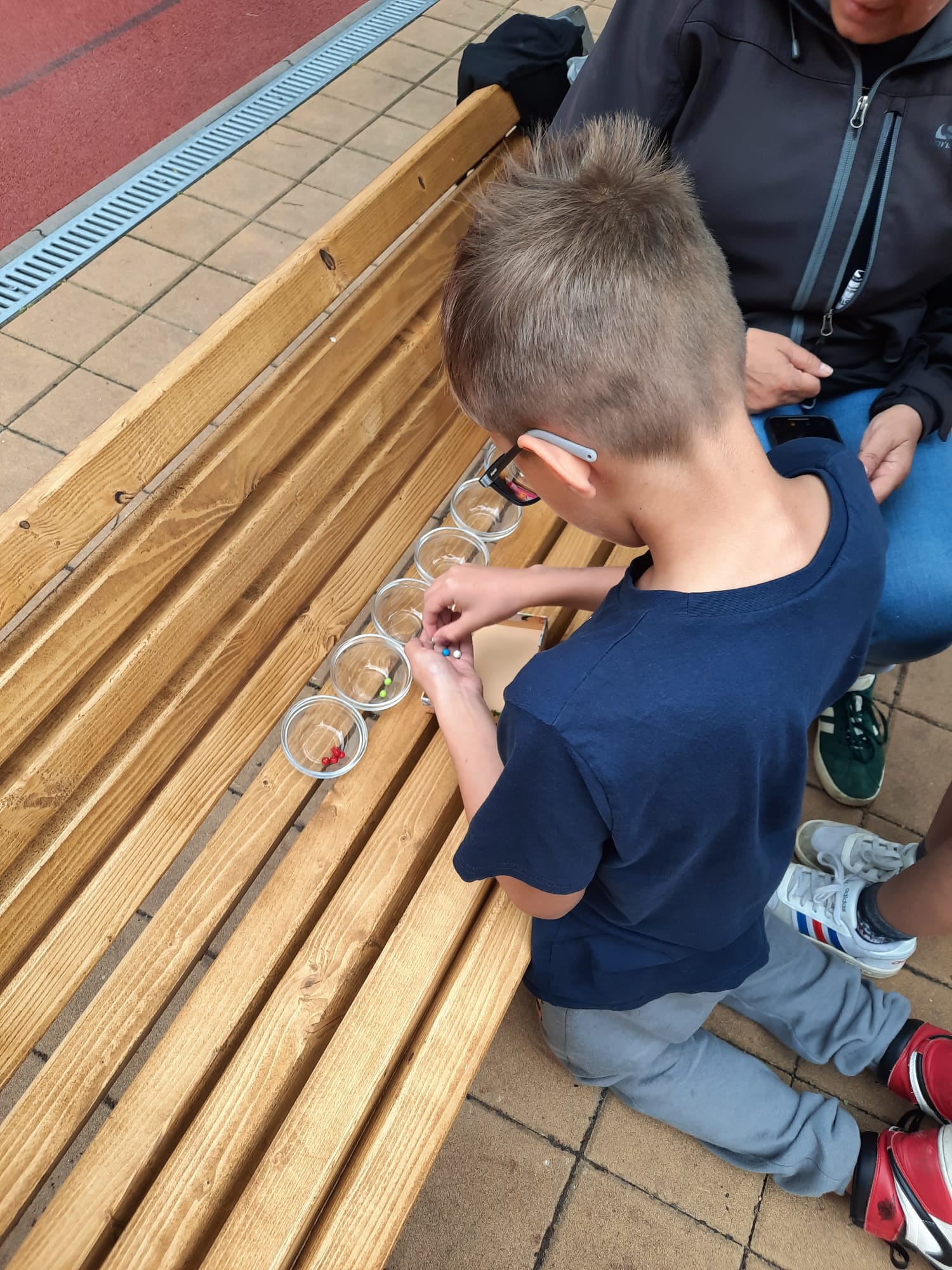 Obrázek WhatsApp, 2024-06-16 v 18.13.18_01601806