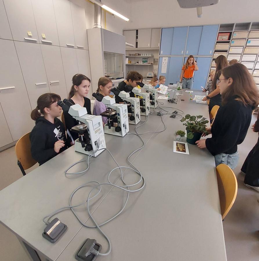 301714057_801877997737932_1194162838315812520_n