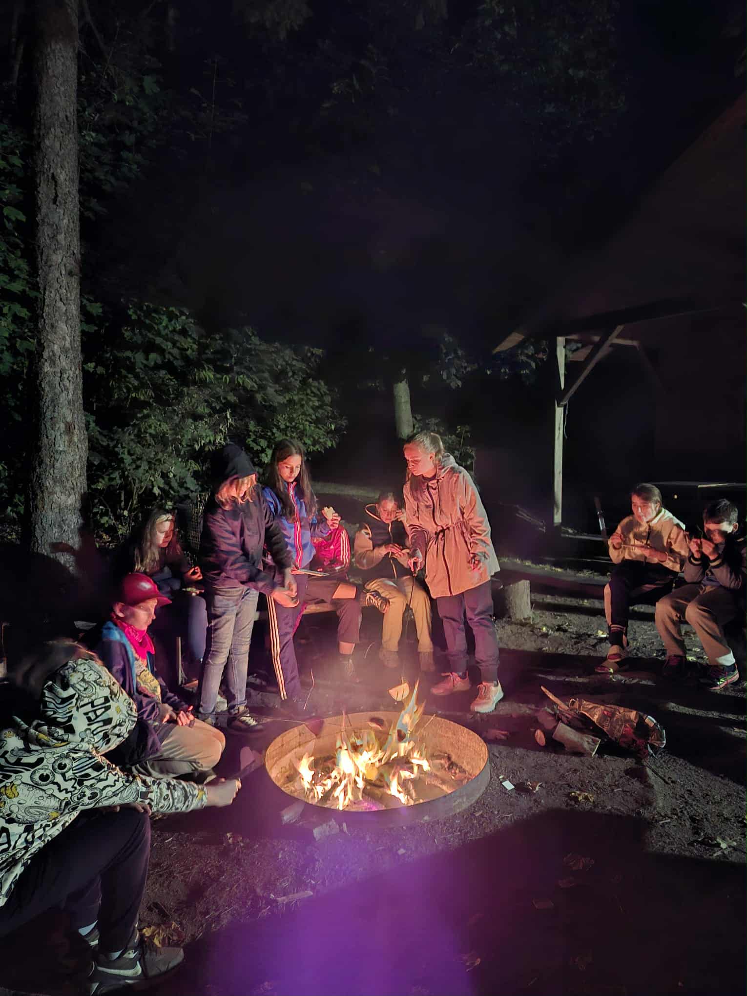 2e1a50b3-c874-4dff-aafe-e79a8766b418