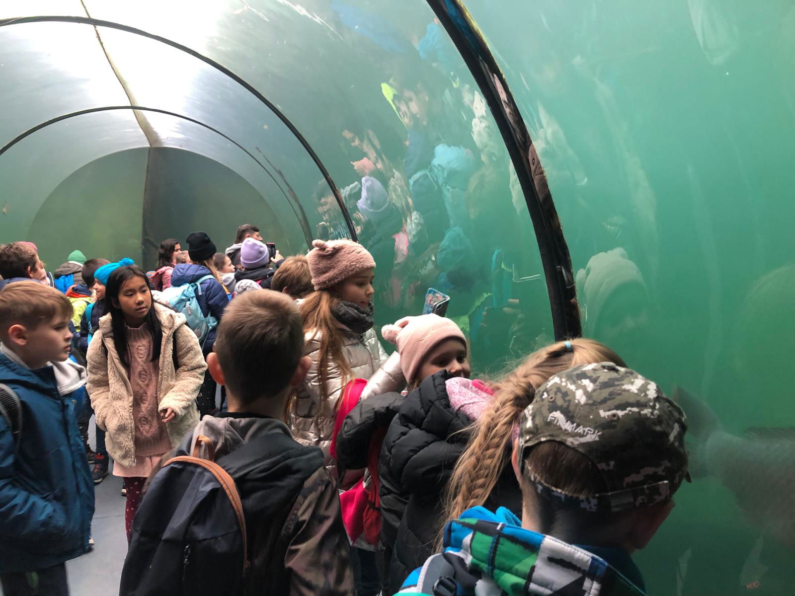 WhatsApp Image 2022-12-11 at 18.09.11