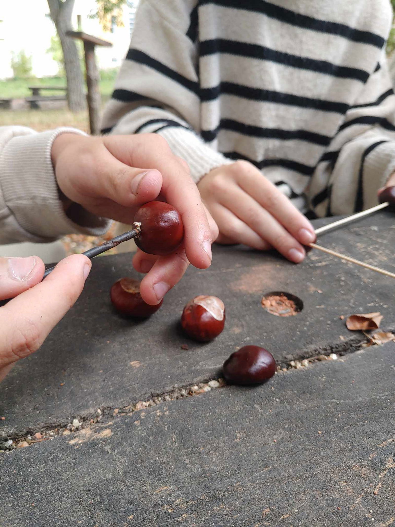 368926790_1021867882295731_5385011905079623499_n