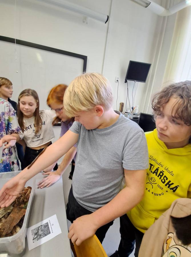 312323058_1267202350722642_918845285798411854_n