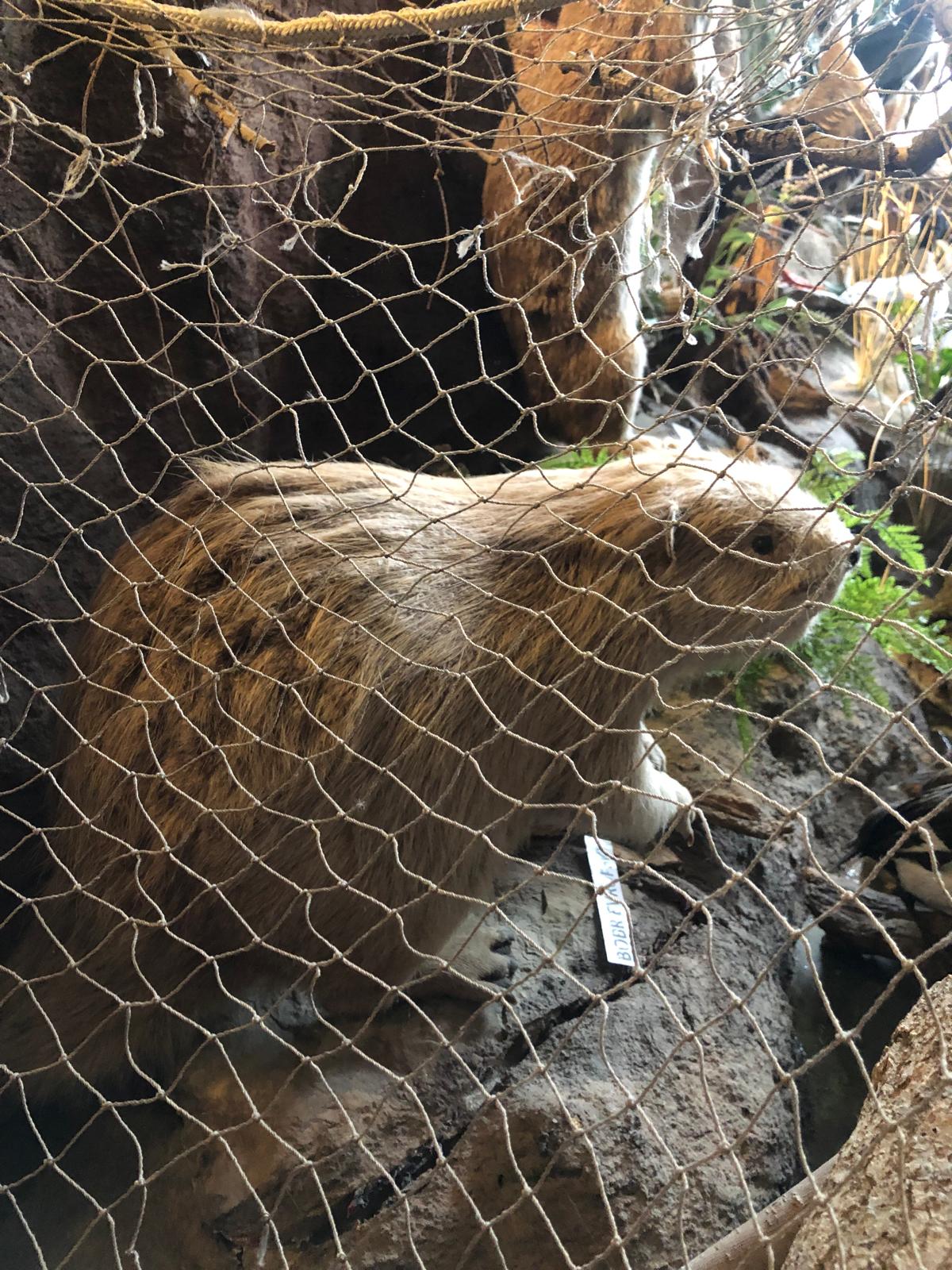 WhatsApp Image 2022-12-11 at 18.09.10 (1)