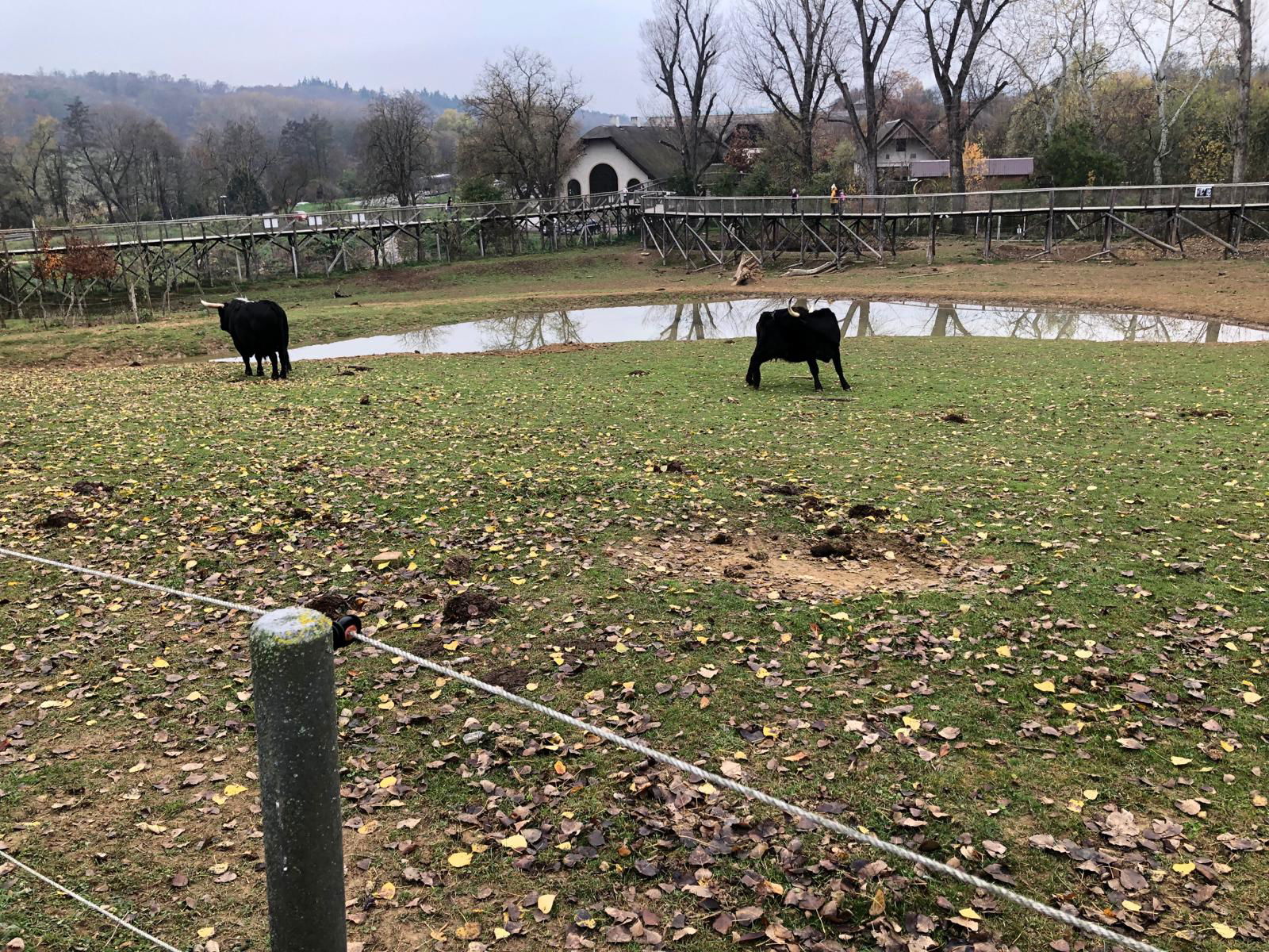 WhatsApp Image 2022-12-11 at 18.09.14 (4)