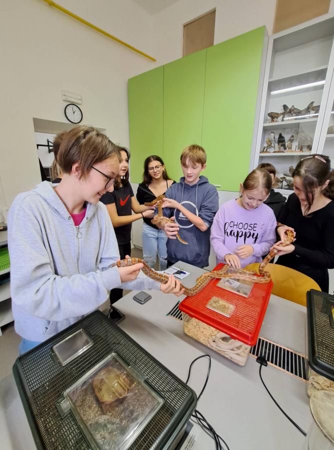 312366389_681453603463694_8669511999254737828_n