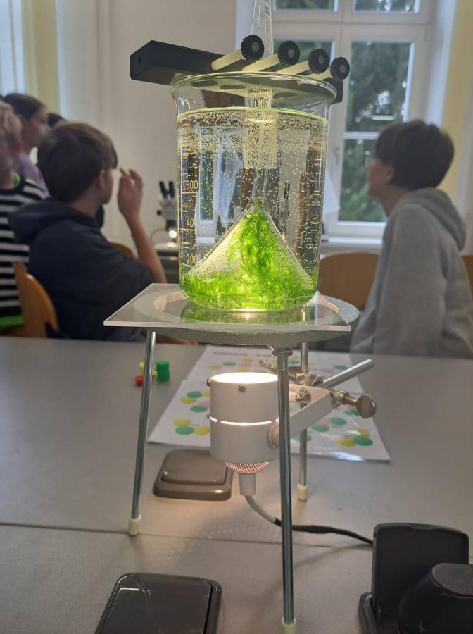 308456040_2396654433807443_3433396072811760902_n