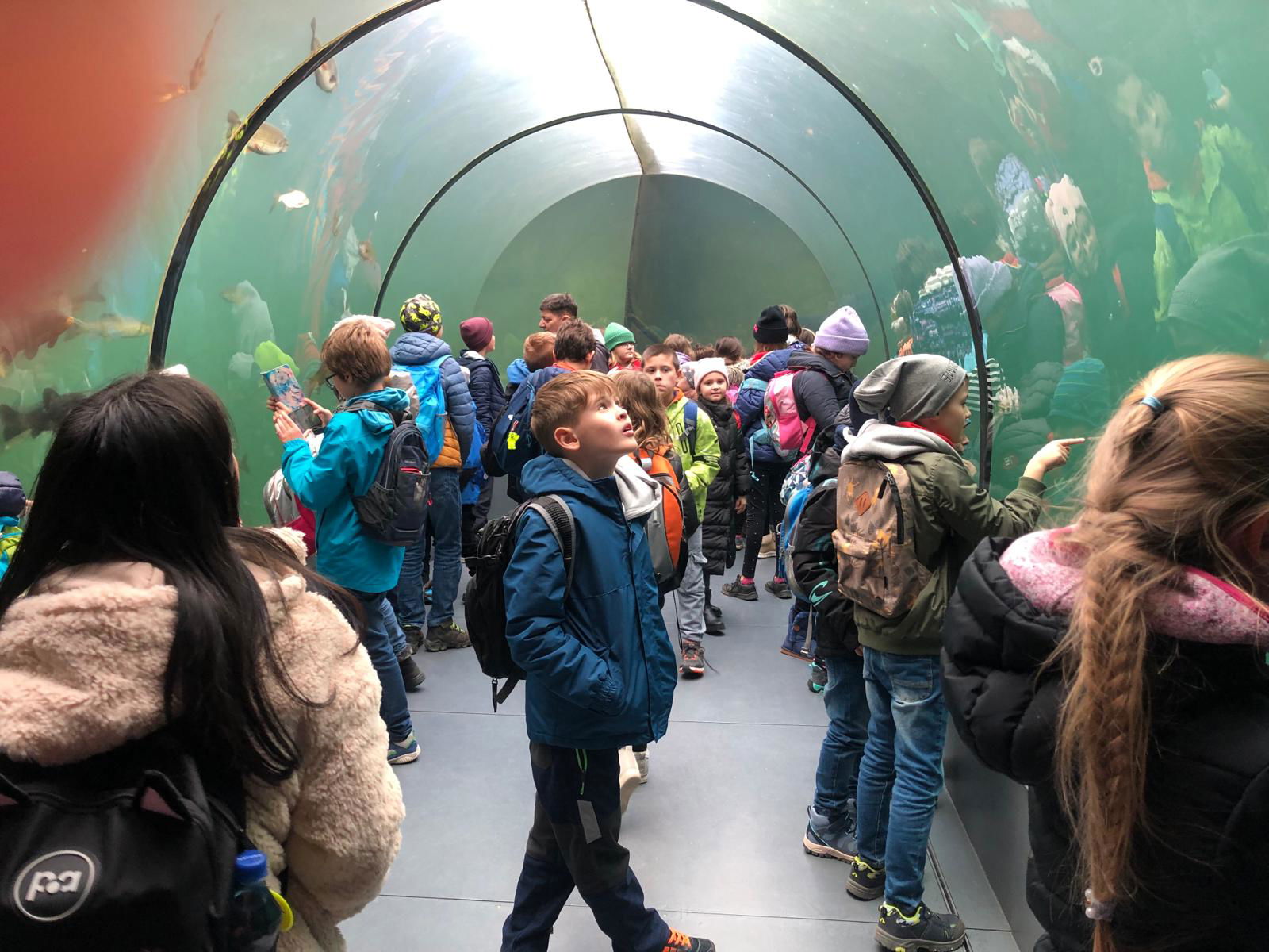 WhatsApp Image 2022-12-11 at 18.09.11 (1)