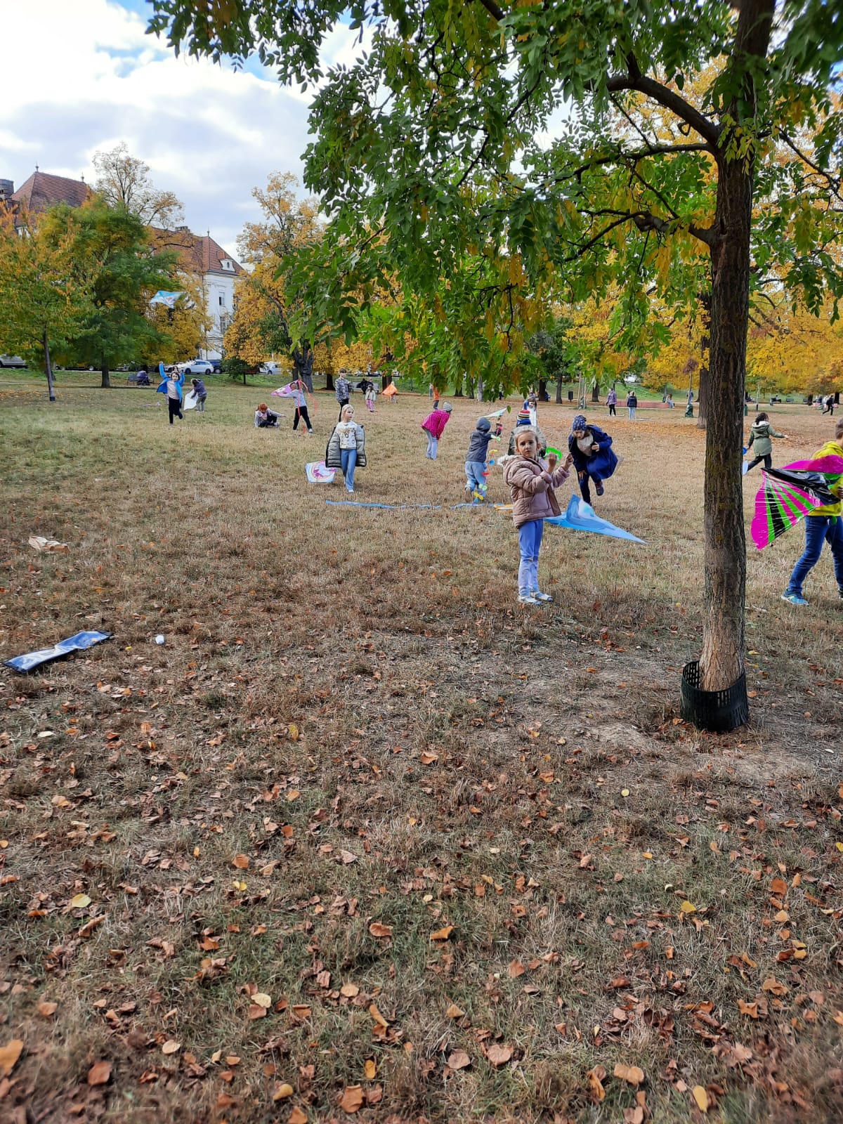 Obrázek WhatsApp, 2023-11-05 v 18.42.03_ea18ba31