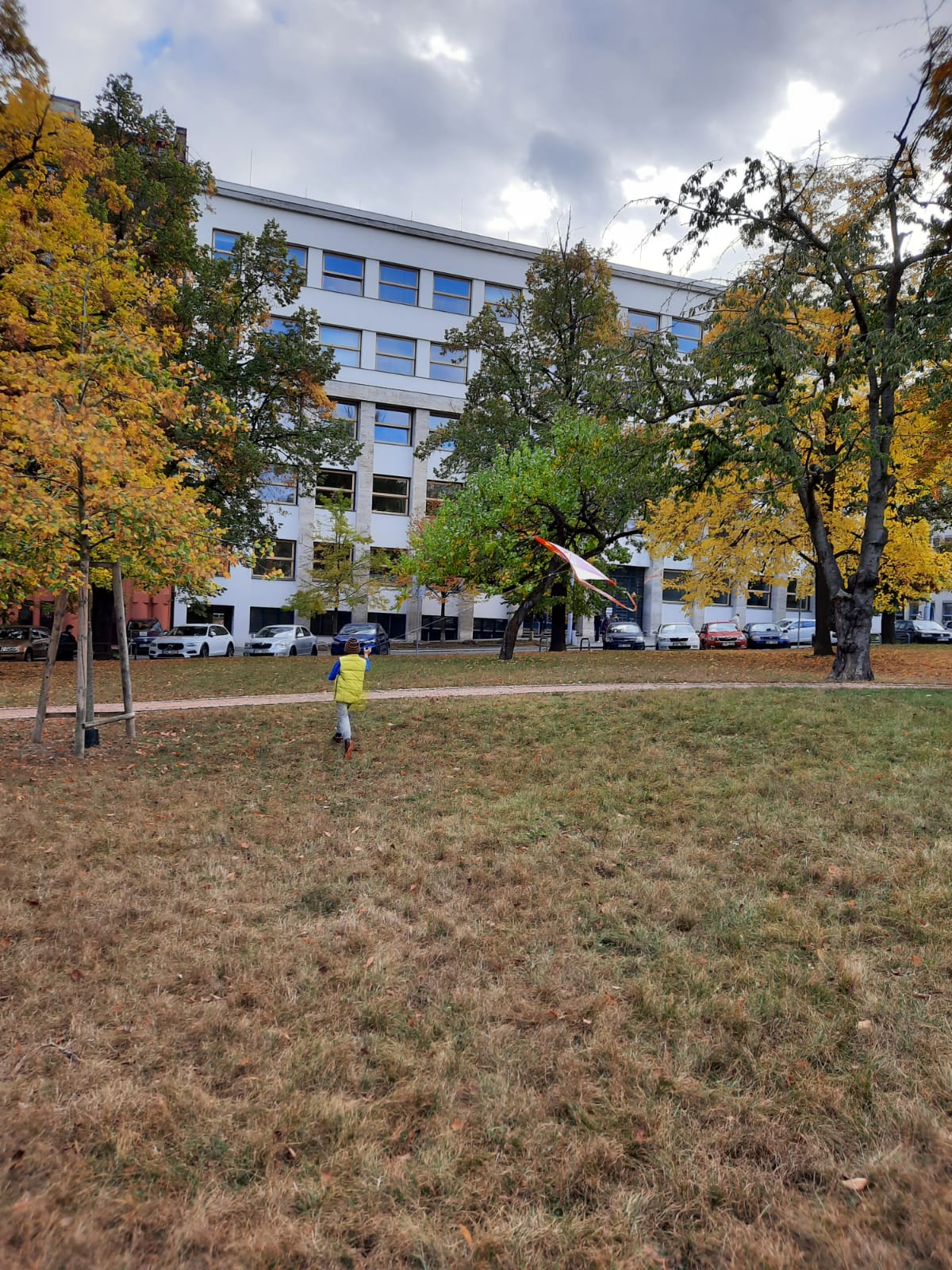 Obrázek WhatsApp, 2023-11-05 v 18.41.55_b3b09e60