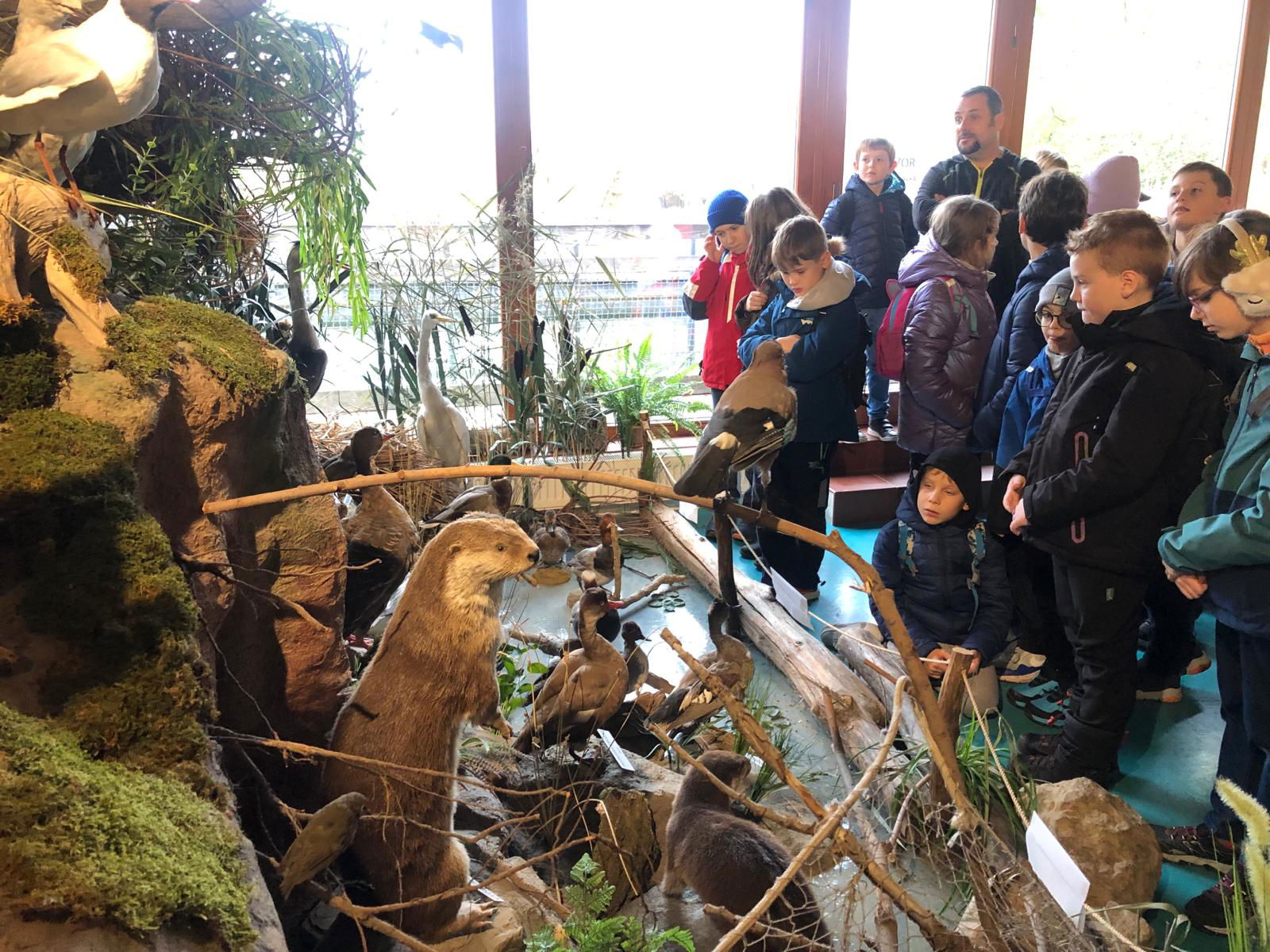 WhatsApp Image 2022-12-11 at 18.09.10