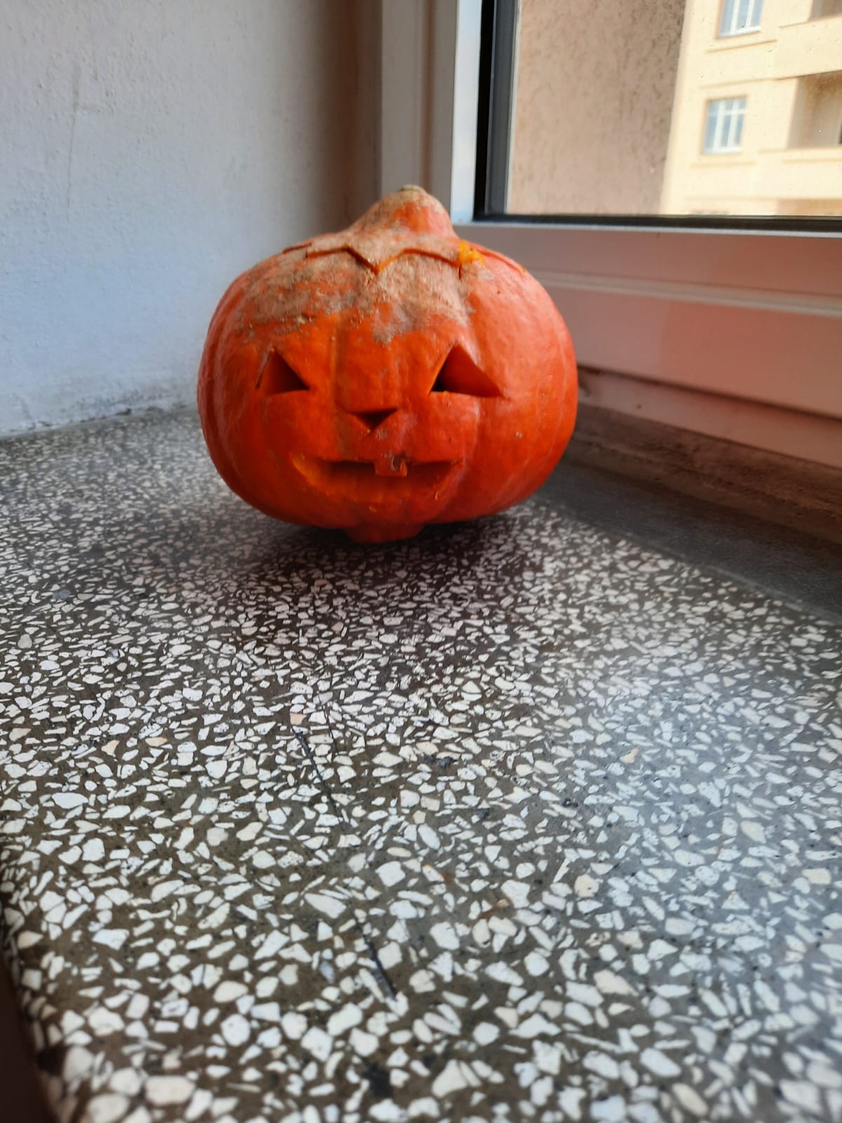 Obrázek WhatsApp, 2023-11-05 v 18.37.35_5f087a8d