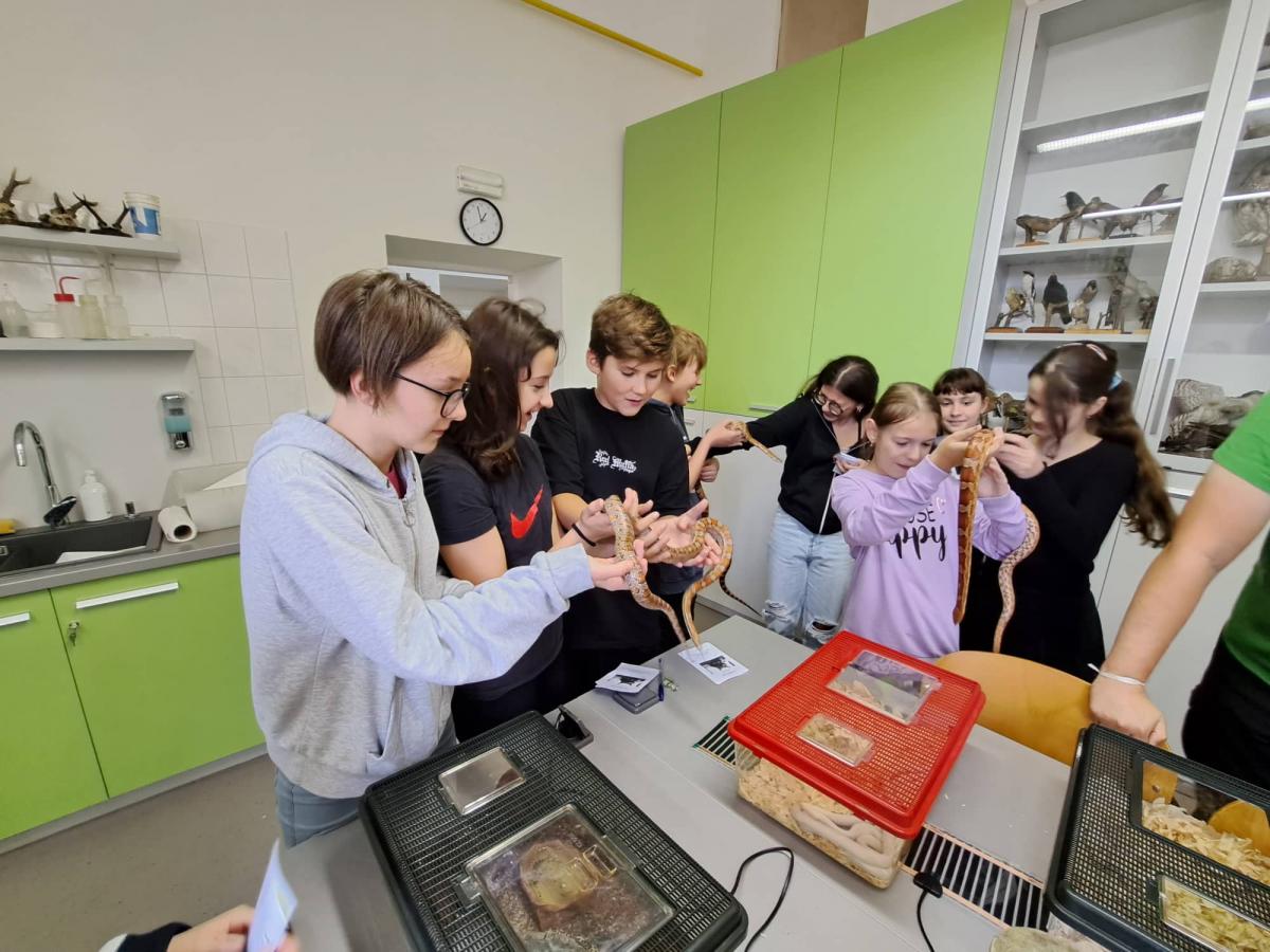 311987303_1537656969981264_822867709973183714_n