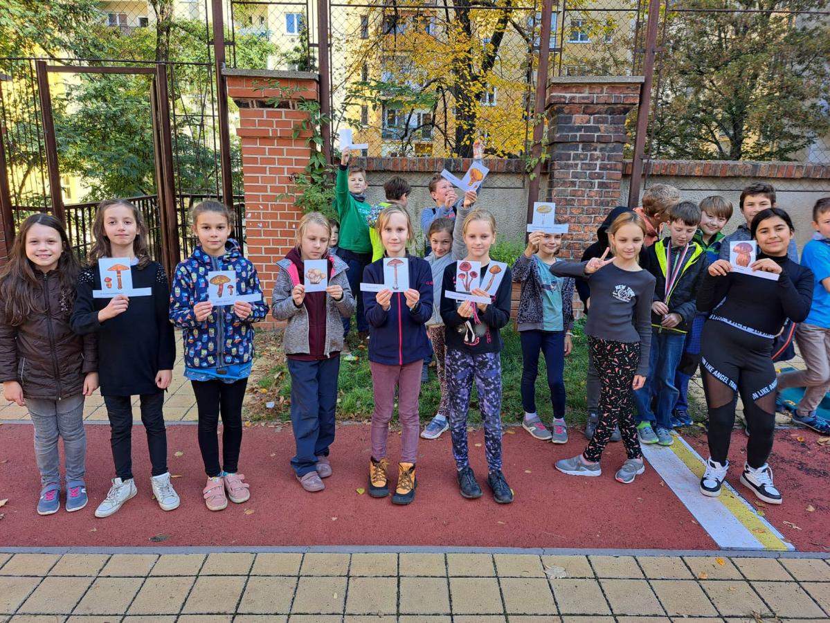 v_uka_venku_4.ro_n_k