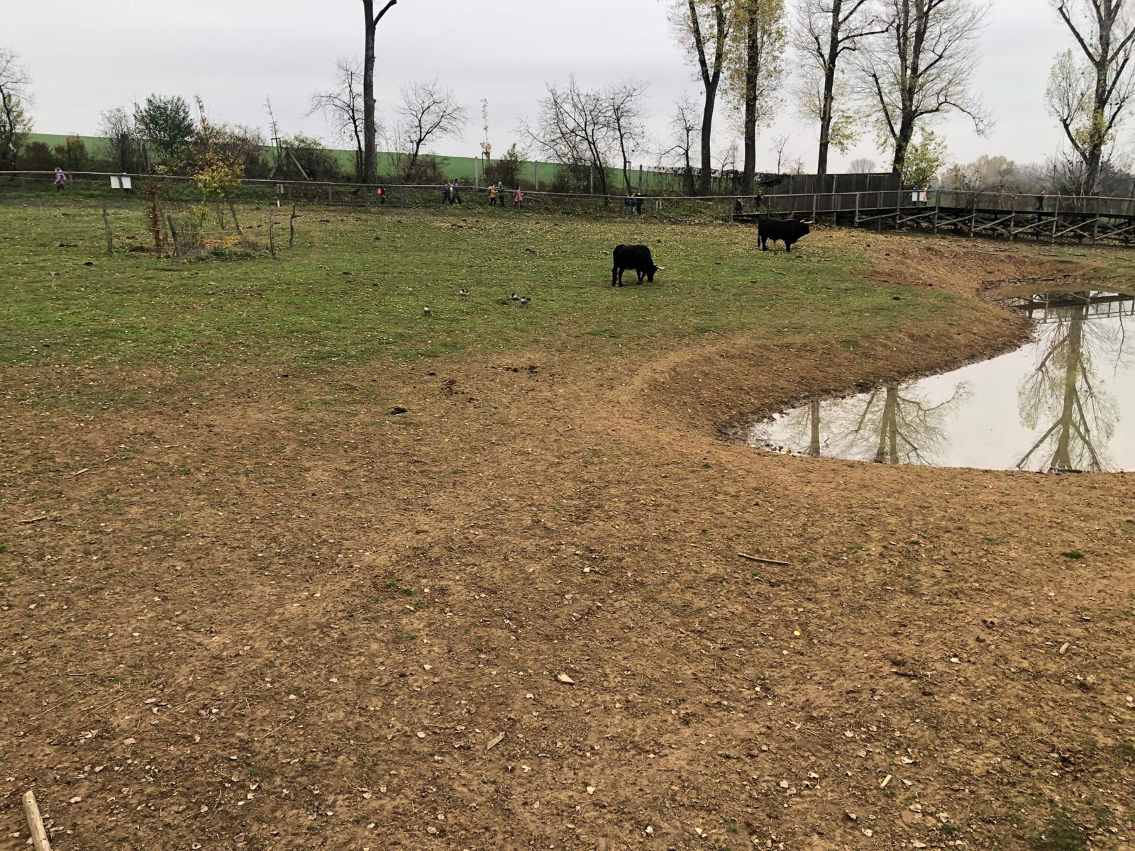 WhatsApp Image 2022-12-11 at 18.09.14 (3)