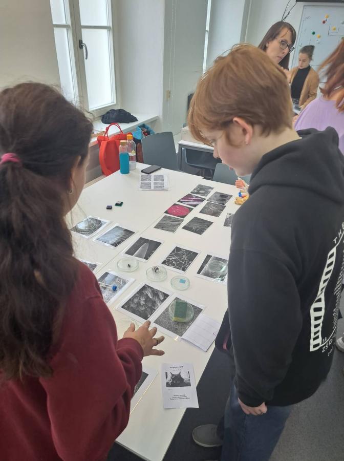 312326913_827545071922622_1674236112938666970_n