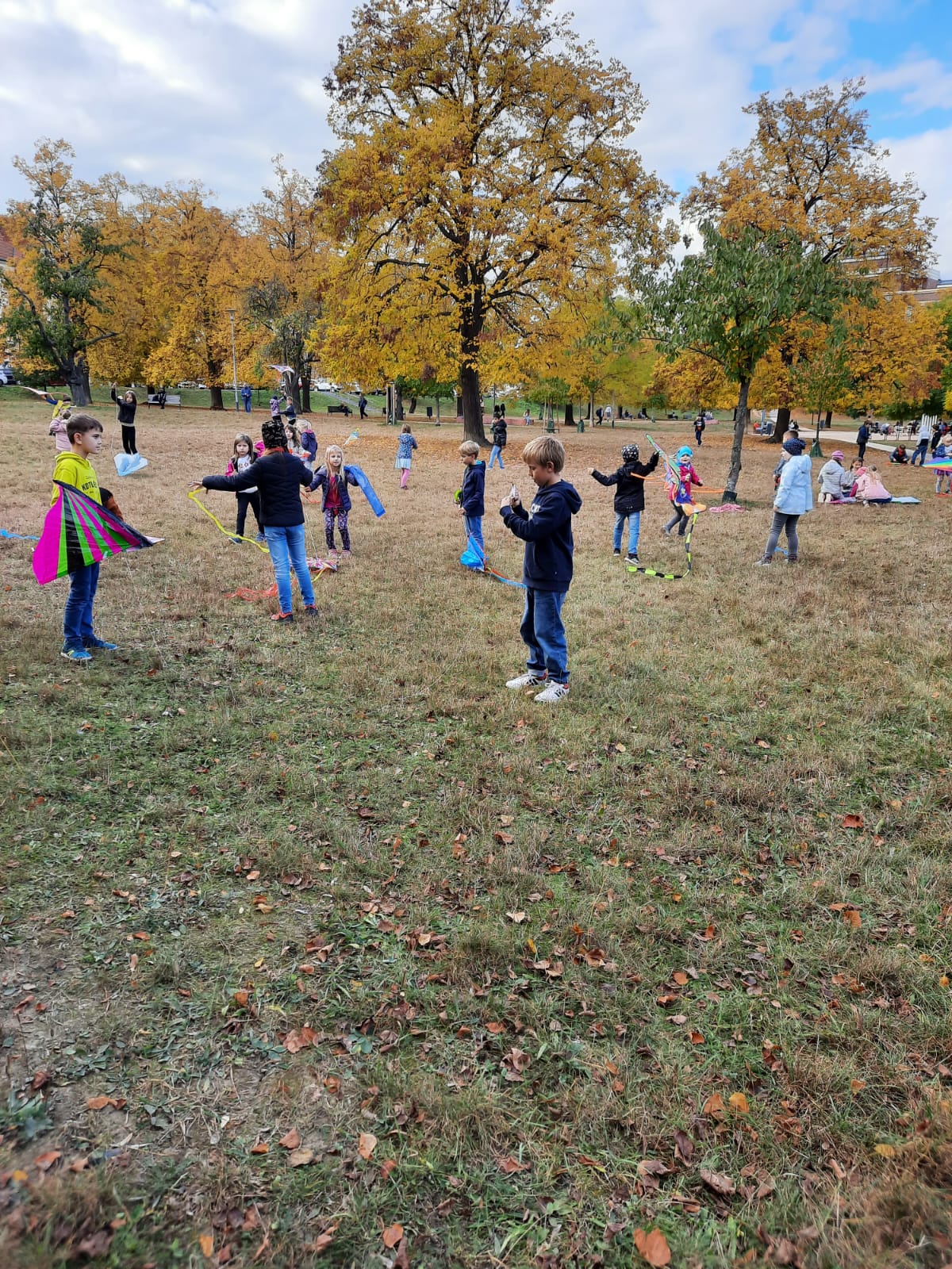 Obrázek WhatsApp, 2023-11-05 v 18.41.57_e355af6f