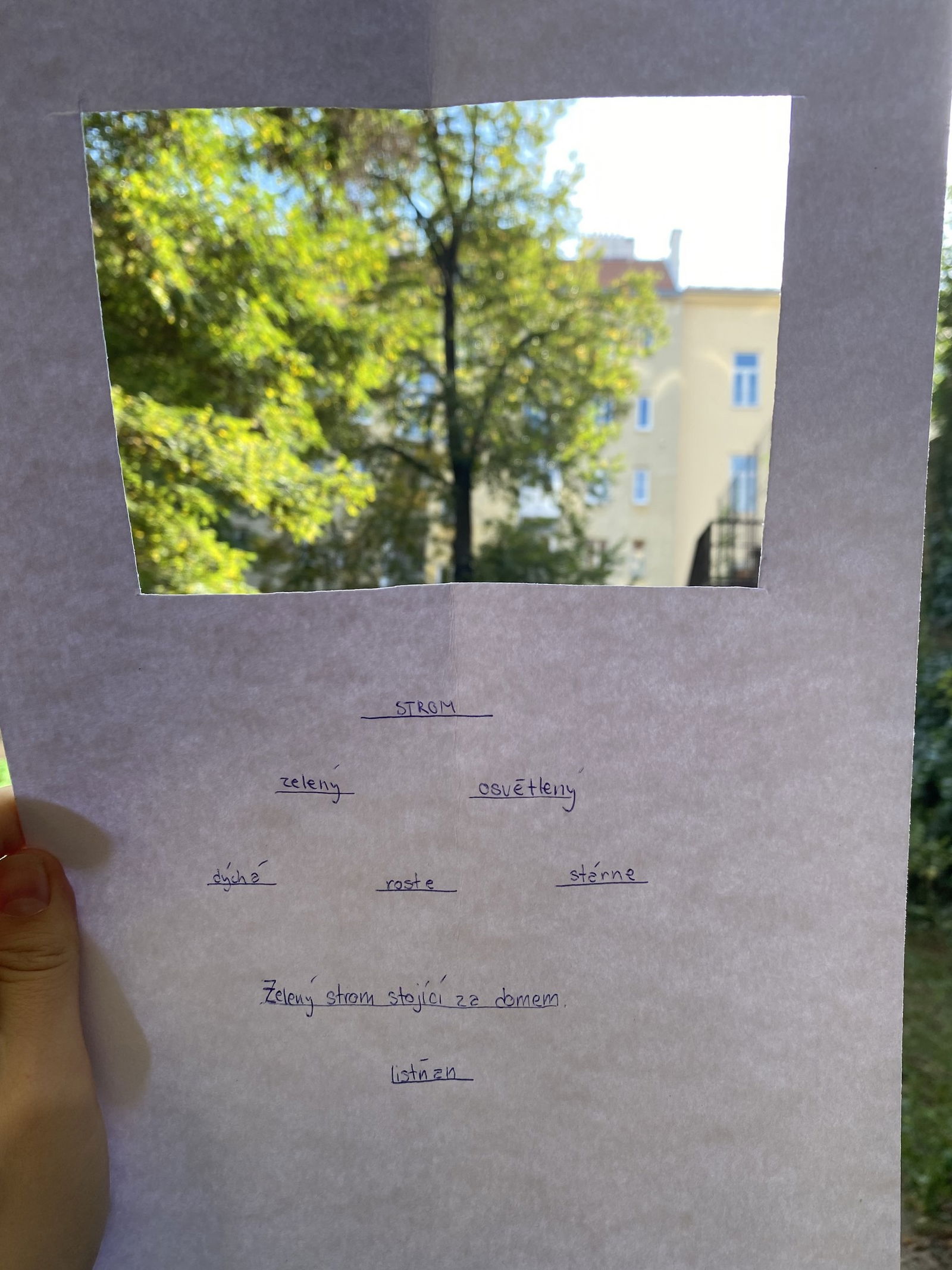 Ballon - Mierná_M_47076_IMG-9967