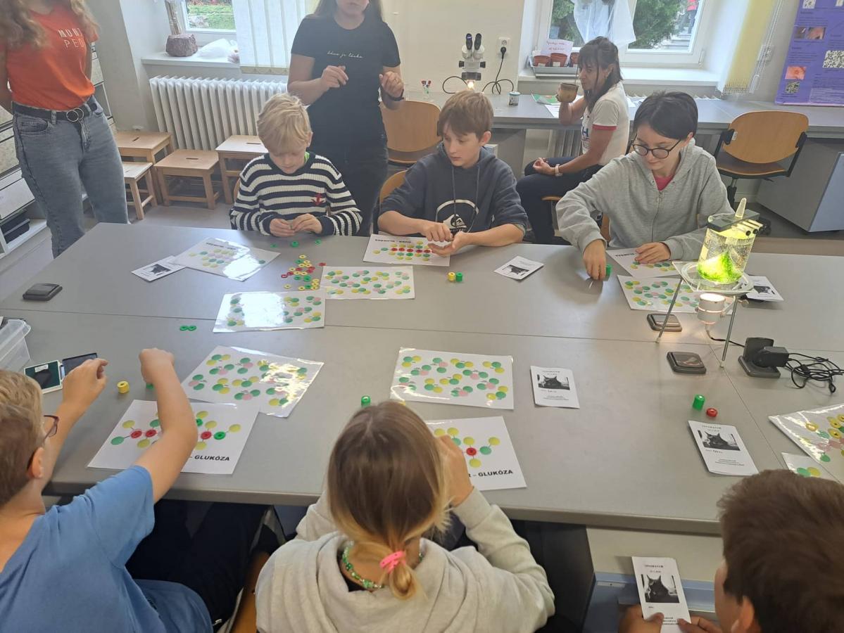 298153085_1214449425769828_351273800975879144_n