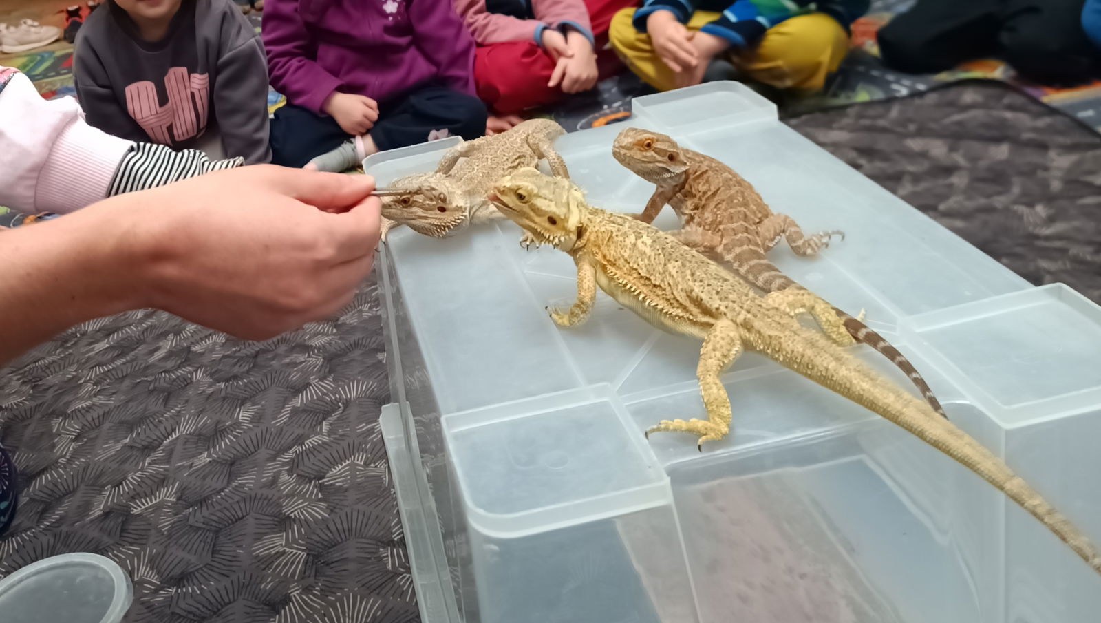 IMG_20251014_093507_573~2