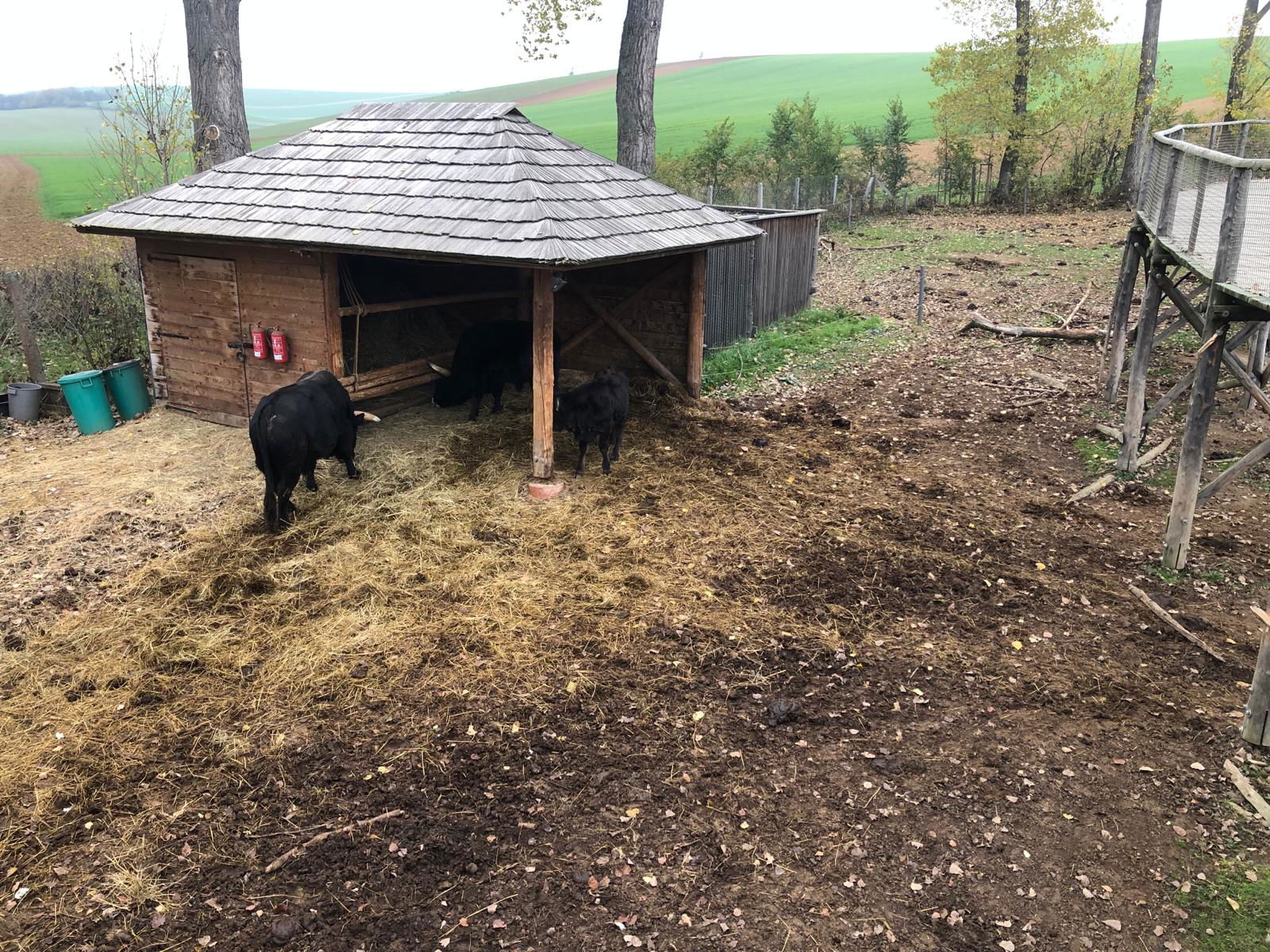 WhatsApp Image 2022-12-11 at 18.09.14 (2)