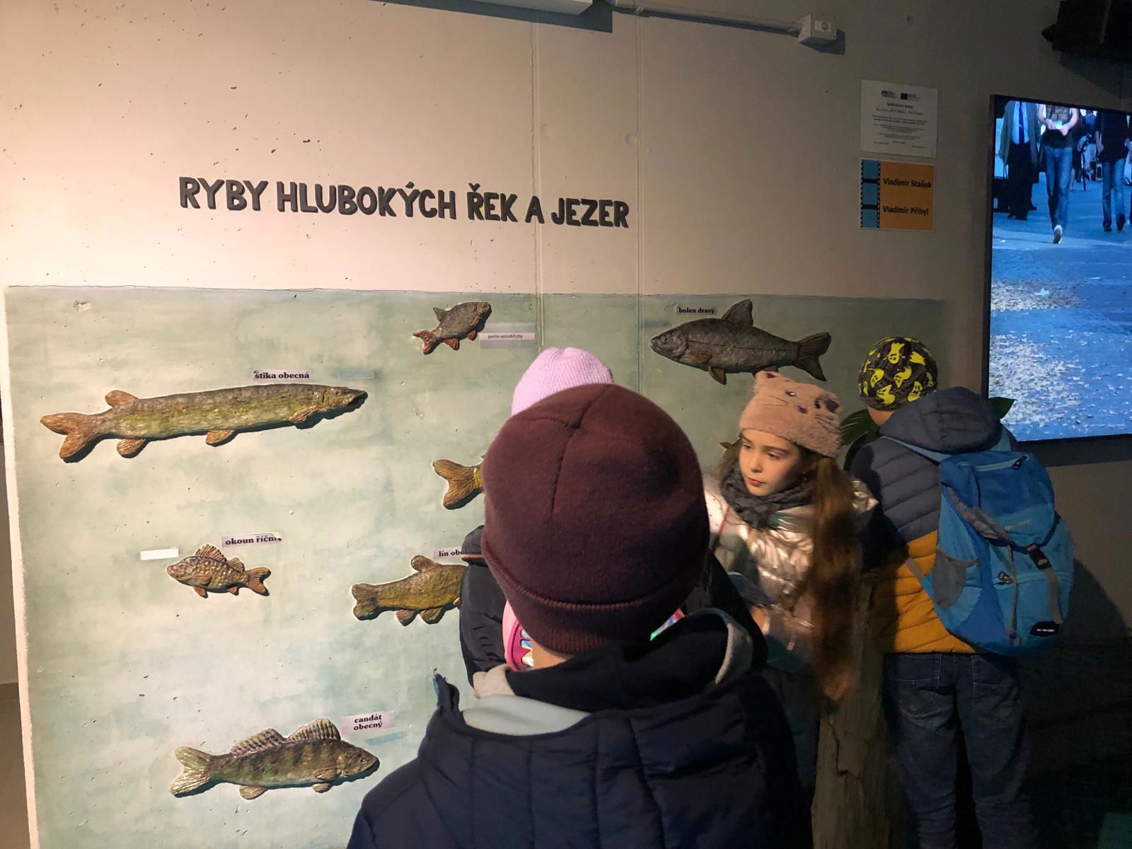 WhatsApp Image 2022-12-11 at 18.09.12