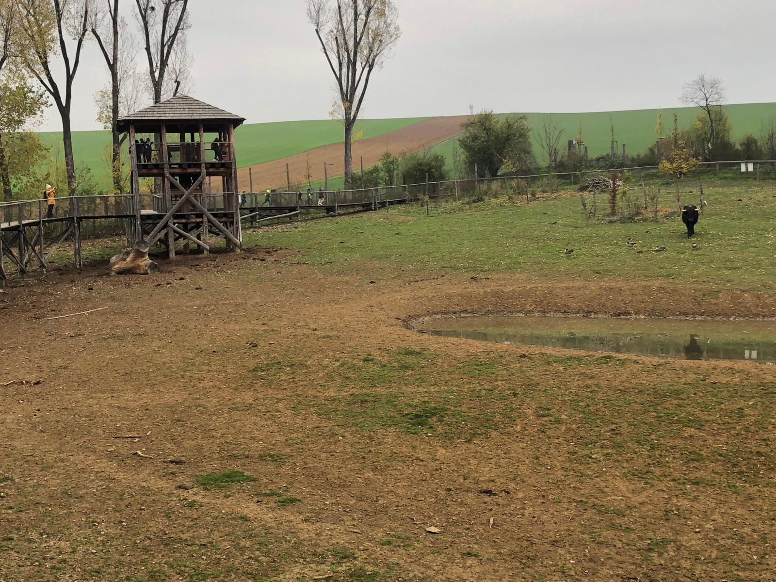 WhatsApp Image 2022-12-11 at 18.09.14 (1)