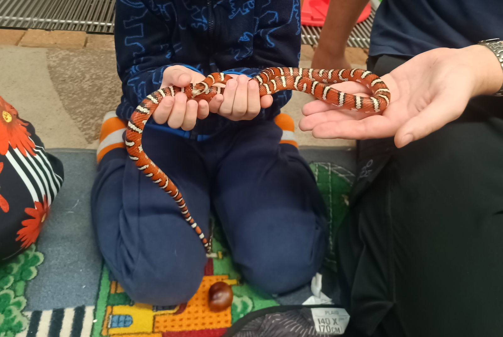 IMG_20251014_101757_241~2